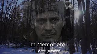 The Last Viking - by CMB