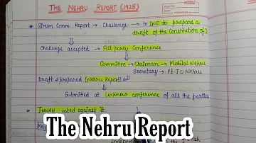 The Nehru Report (1928) ||Handwritten Notes || National Movement || Modern India || An Aspirant !