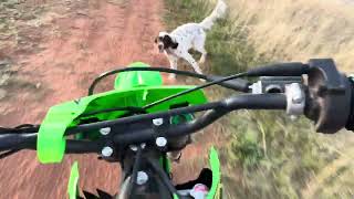 Riding my dirtbike, racing the dog and doing jumps ￼