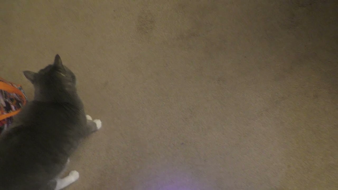 Sally with blacklight