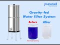 Food coloring test  purewell gravity water filter system