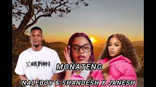 Monateng Feat Naleboy X Shandesh U0026 Janesh