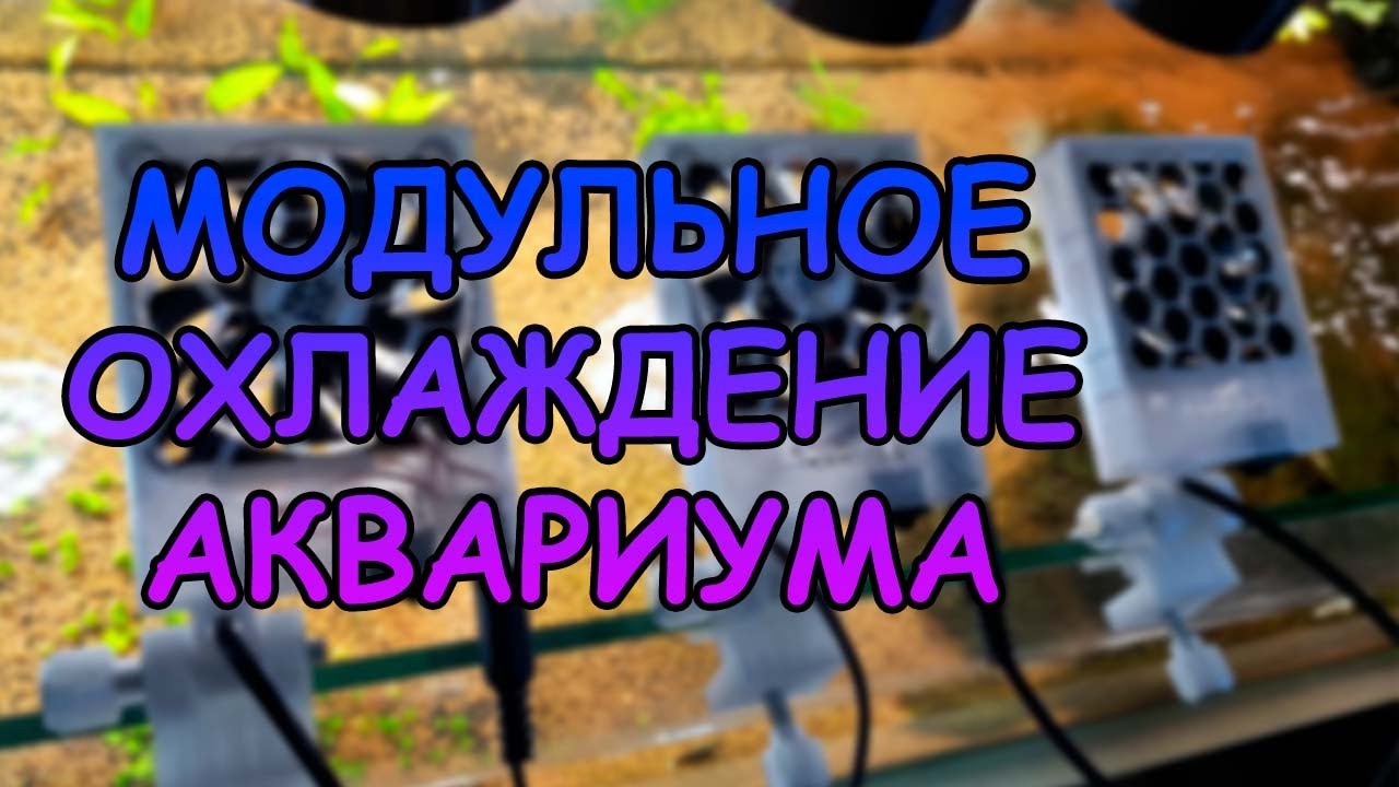 МОДУЛЬНОЕ ОХЛАЖДЕНИЕ АКВАРИУМА #АКВАМЕН #СВОИМИ_РУКАМИ - YouTube