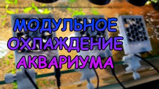 МОДУЛЬНОЕ ОХЛАЖДЕНИЕ АКВАРИУМА #АКВАМЕН #СВОИМИ_РУКАМИ