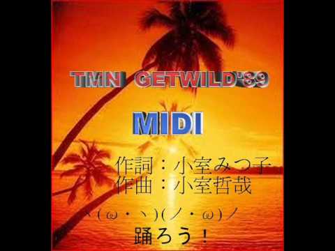 TM NETWORK  GET WILD ' 89  MIDI インスト