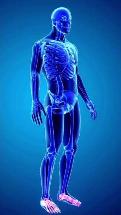 What does copper do in the body?