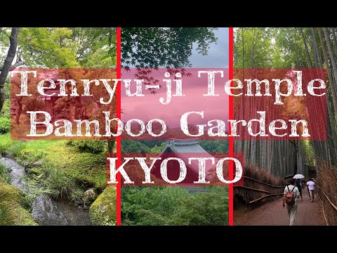Tenryu-ji Temple &amp; Scenic Japanese Garden and Bamboo Garden in Kyoto Japan