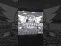something was wrong with at the sonic Hedgehog game