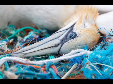 Video: 15 Fotografier Som Viser Utahs Mangfoldige Skjønnhet