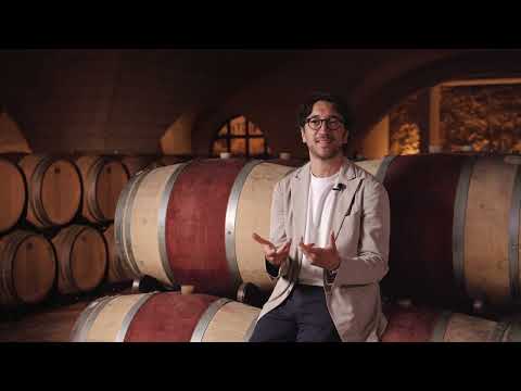 Super Apulian - Alfredo Magazine x Tenuta Bocca di Lupo
