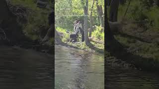 VIDEO: Boy attacked by beaver at New Jersey park