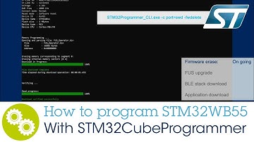 How to program a STM32WB55 with STM32CubeProgrammer