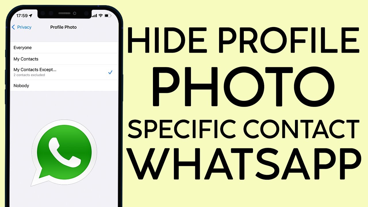 WhatsApp Profile Picture: How to Set Profile Photo on WhatsApp, Hide It  from Particular Contact, and More - MySmartPrice