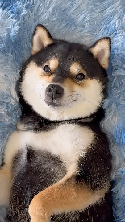 Manyu's Daily Care SPA ASMR