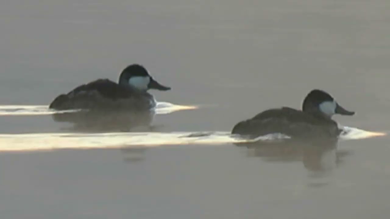 Last month: December Morning at Sweetwater Creek State Park