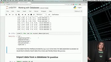 113 Live Code, Structured Query Language