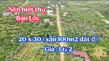 CHỊ CHỦ CẦN BÁN GẤP NỀN BIỆT THỰ MẶT TIỀN ĐƯỜNG TIẾNG DƯƠNG LỘC ĐỨC BẢO LỘC GIÁ CƯC NGỘP SẴN THỔ CƯ