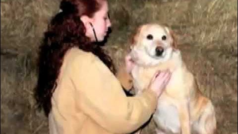 Snow Melts In Spring - Deborah Vogts - Video Trailer