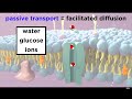 Structure Of The Cell Membrane: Active and Passive Transport