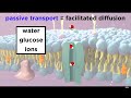 Cell Membrane Structure and Function in Living Organisms