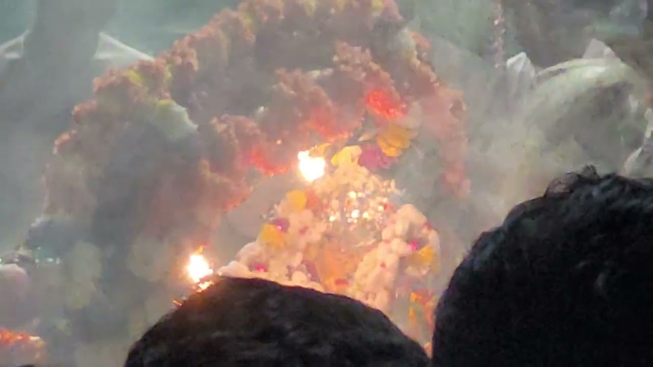 श्री दत्त भिक्षालिंग देवस्थान, कोल्हापूर, चातुर्मास सुरू होण्यापूर्वीचा नयनमनोहर पालखी सोहळा.