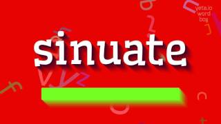 How to say sinuate! (High Quality Voices)