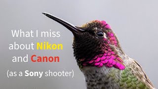 Download Lagu What I miss about Nikon and Canon as a Sony shooter MP3