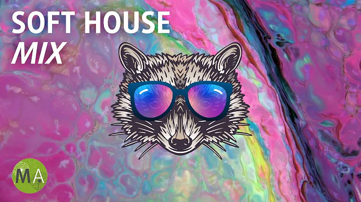 Deep Focus Upbeat Study Music Soft House Raccoon Mix, Isochronic Tones