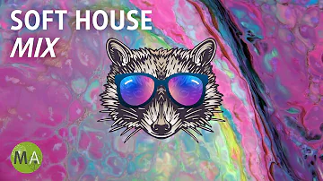 Deep Focus Upbeat Study Music Soft House Raccoon Mix, Isochronic Tones