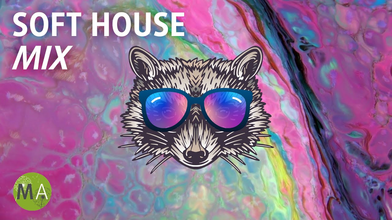 ⁣Deep Focus Upbeat Study Music Soft House Raccoon Mix, Isochronic Tones