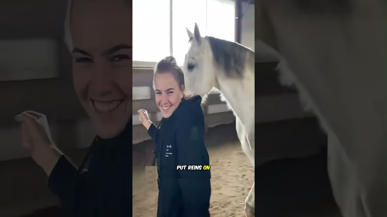 Уникальные черты характера лошадей