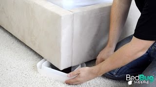 ClimbUp Insect Interceptors Review