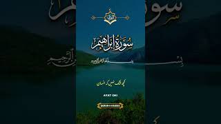 Blessings of Allah | Surah Ibrahim Ayat 34 | Quran Recitation with English Translation