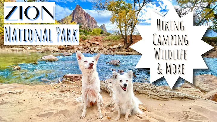 Dog Friendly Road Trip - Ep 2 - Zion National Park | Pa’rus Trail & More - DayDayNews