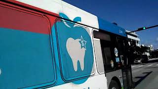 Miami Dade Transit Nabi bus 2002 2149 rote 120 and 2000 2050 rote L in 22 sweet