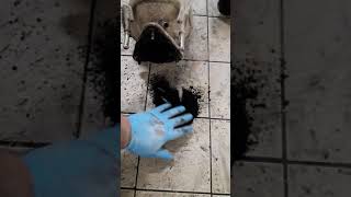 Fiat Ducato Neden Tekliyor Sebebi