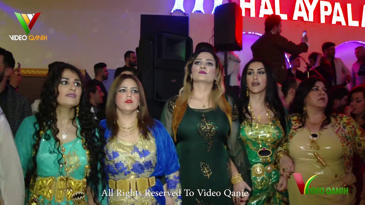 Ahangi Newroz-Köln-2018-Shirwan Abdulla-HD-ئاهه‌نگی نه‌ورۆز کۆڵن شیروان عبدللهConsert(Music.Diyakoz)