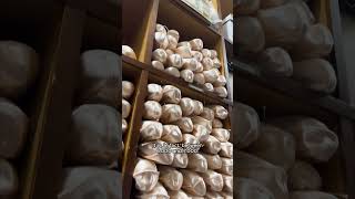 Getting to the pointe! Take a peek into our Pointe Shoe Room #shorts #royaloperahouse #ballet