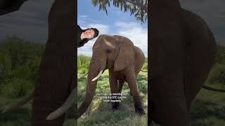 apply now!! #videoediting #animals #wildlife #animals @LindsayNikole