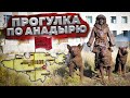 Анадырь Anadyr \ Прогулка по городу \ Евгений Басов \ Музей "Наследие Чукотки"   #7