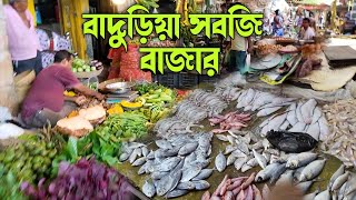 বাদুড়িয়া সবজি বাজার vlog |  baduria vegetable market | vlog | KARIM boss screenshot 3