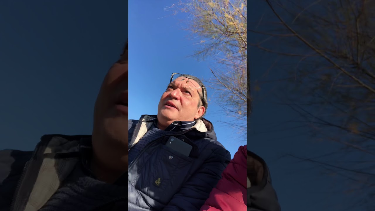 SUL MERCATO, ADL ECC