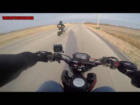 funny-bumper-stickers-|-hit-by-car!!!!-|