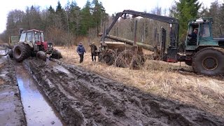 Forwarder Kockums saving Belarus Mtz 892 forestry tractor, wet conditions, difficult road