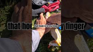 Hook in #fishingfail #fishing