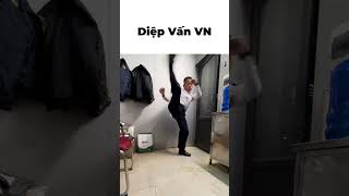Diệp sư phụ