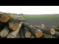 Стоп вирубці лісу на Львівщині! Активісти виявили десятки нечіпованих дубових колод