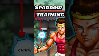 Is Baki's Sparrow Training Actually Real ? #baki #training #shorts #explained