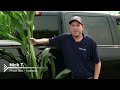 PROVEN 40 - A Productive and Weatherproof Source of Nitrogen
