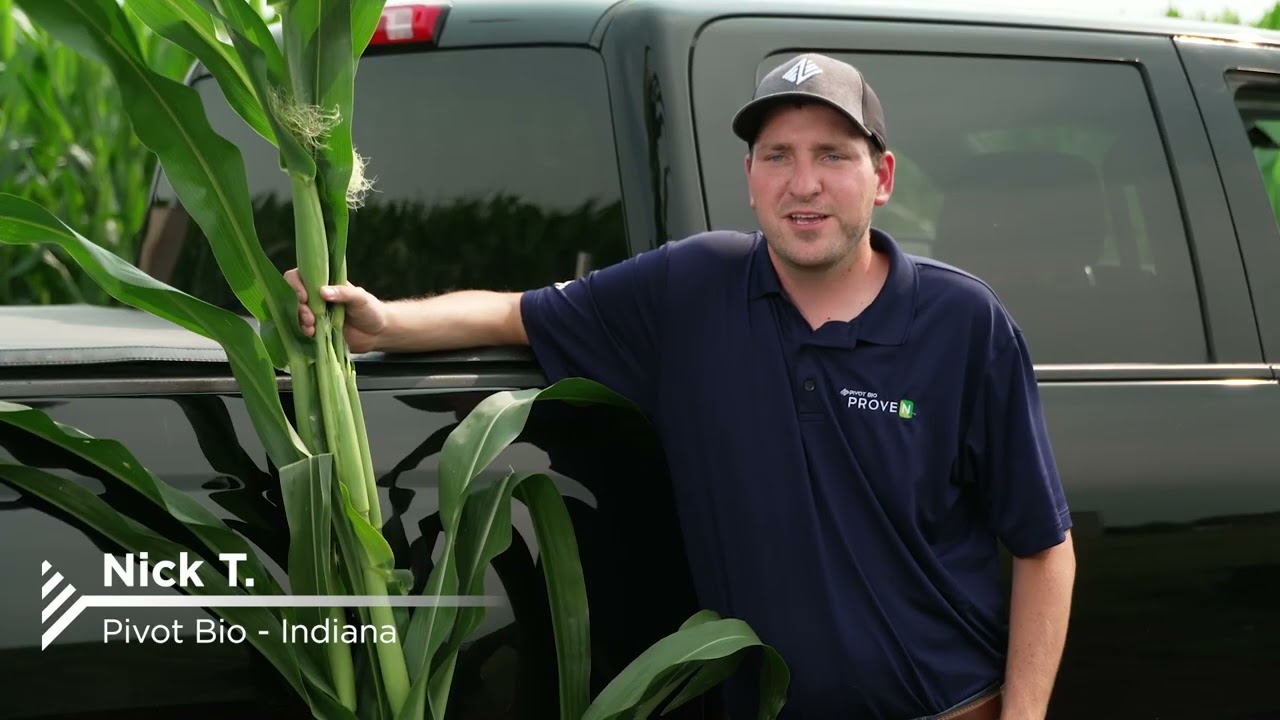 PROVEN 40 - A Productive and Weatherproof Source of Nitrogen